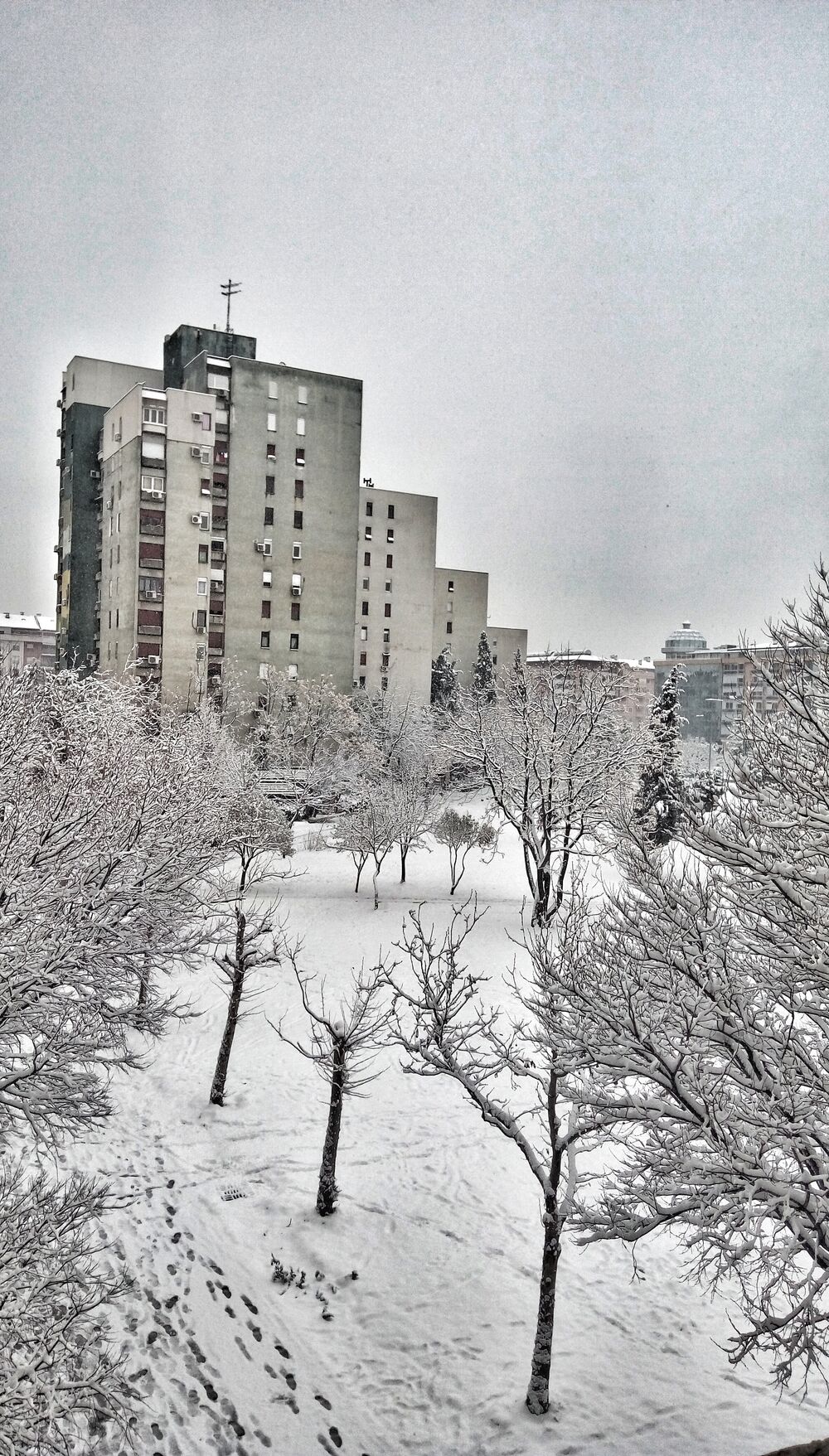 Prve pahulje su obradovale građane Podgorice još 8. januara kasno naveče, a već 9. ujutru cijeli grad je bio pokriven. Pokažite nam kako vaš dio grada izgleda pod snijegom tako što ćete poslati fotke na mail portal@vijesti.me ili na našu FB ili Instagram stranicu!
