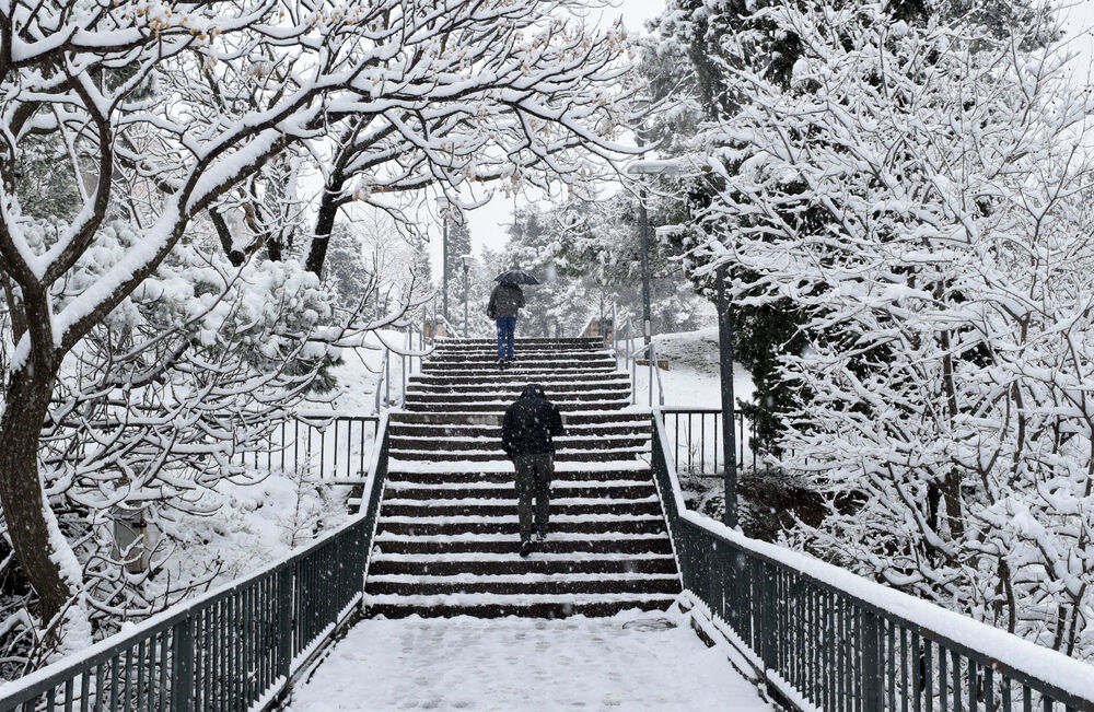 Prve pahulje su obradovale građane Podgorice još 8. januara kasno naveče, a već 9. ujutru cijeli grad je bio pokriven. Pokažite nam kako vaš dio grada izgleda pod snijegom tako što ćete poslati fotke na mail portal@vijesti.me ili na našu FB ili Instagram stranicu!