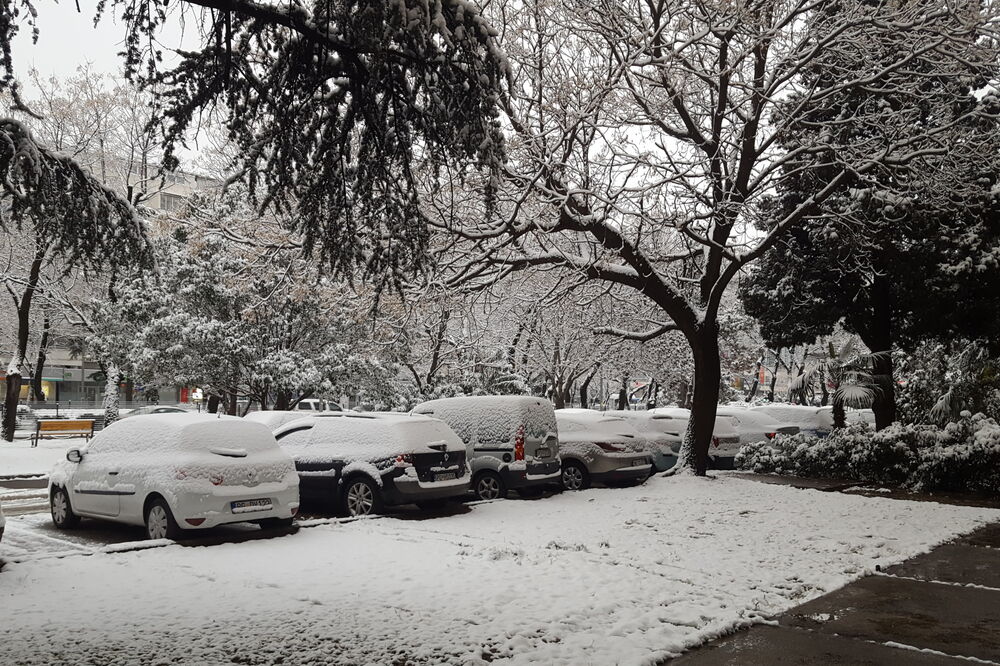 Danas u Podgorici, Foto: Danilo Barjaktarović