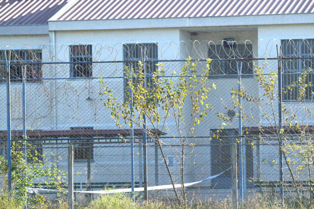 Detalj iz ZIKS-a (Ilustracija), Foto: Boris Pejović