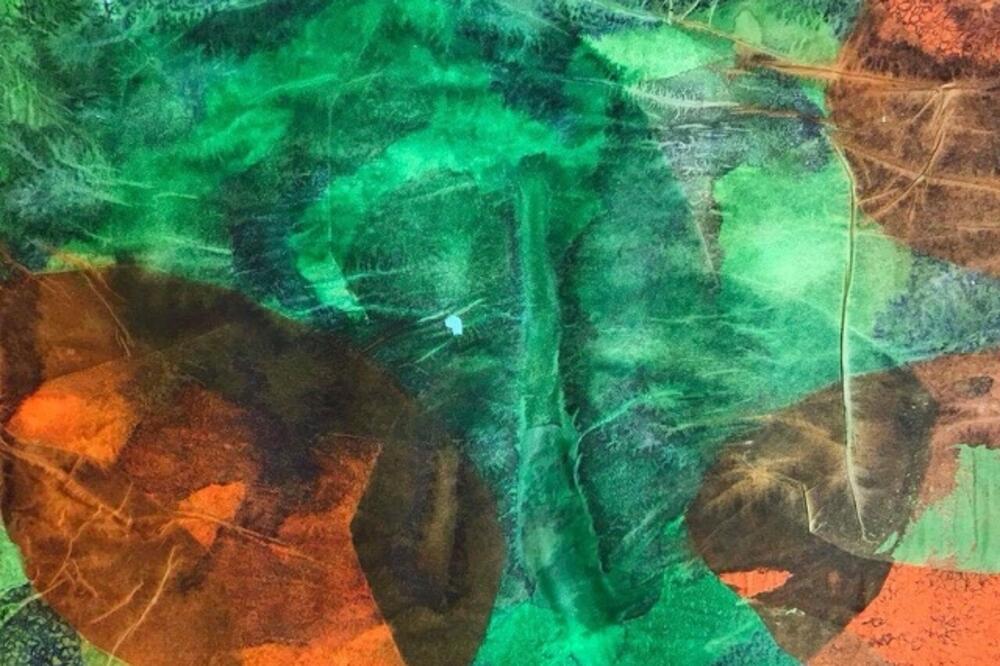 Mirjana Marsenić Vujović, slika, Foto: Privatna arhiva