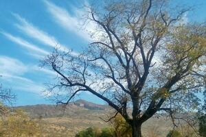 Danas sunčano, do 13 stepeni