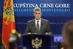 Brajović: Preciznije će se definisati status poslanika