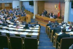 Gvozdenović: Ukazujemo na nepravdu; Mandić: 1918. se požnjelo ono...