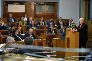 Vlada stavlja društvo pod mantil