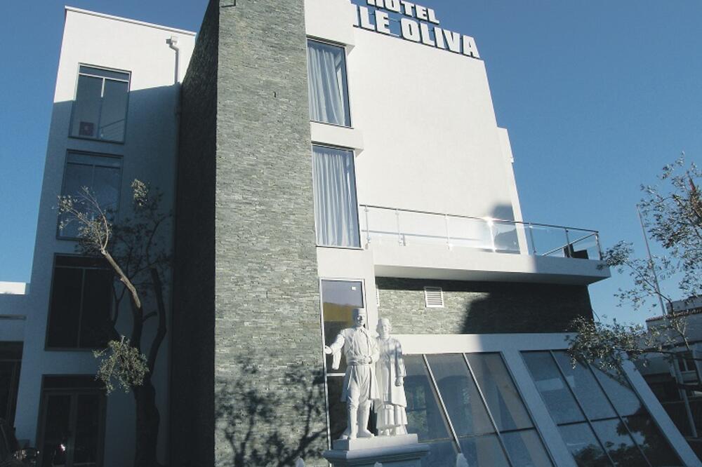 Vile Oliva, Foto: Vuk Lajović