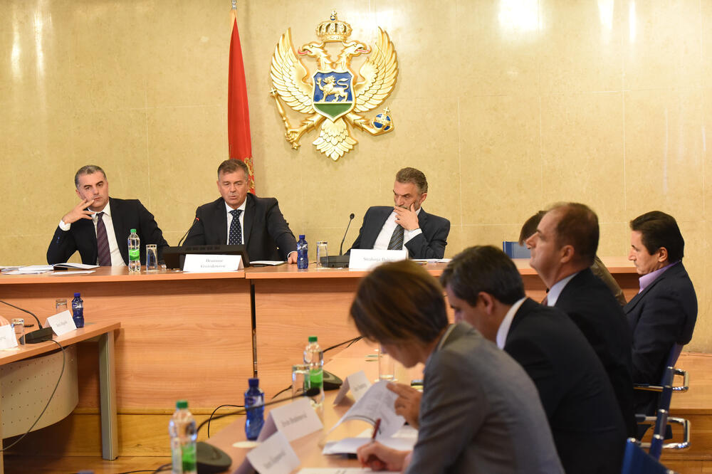 Odbor za dalju reformu izbornog i drugog zakonodavstva, Foto: Savo Prelević