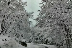Pogledajte kako zbog snijega izgleda put Žabljak - Šavnik