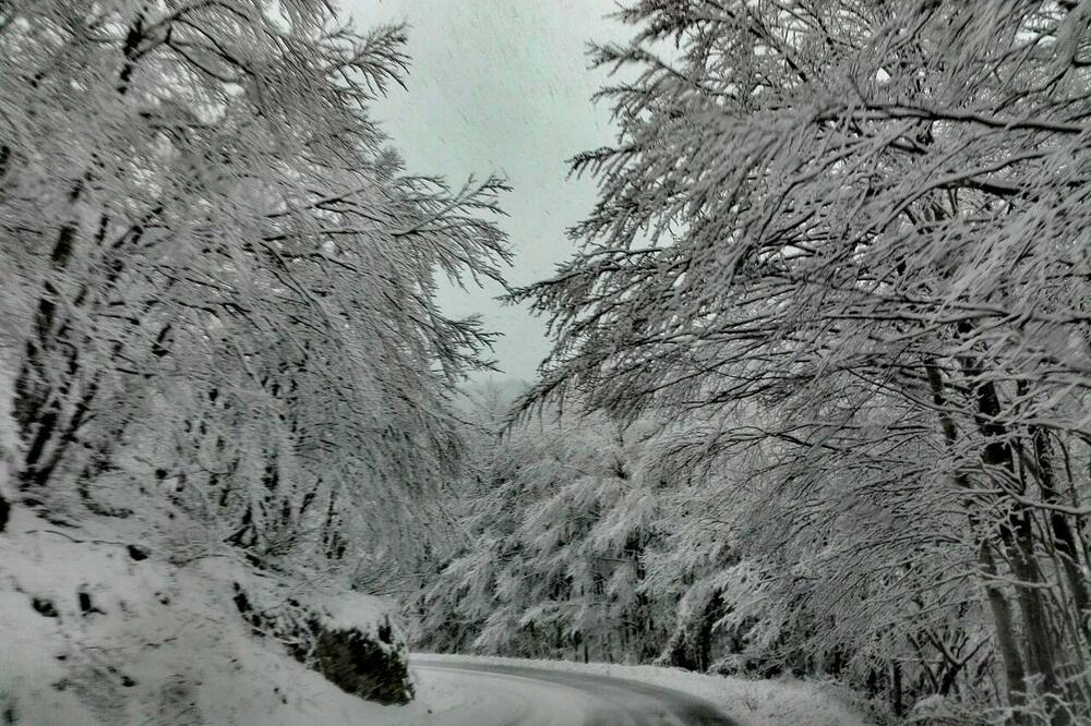 Žabljak snijeg, Foto: Čitalac Vijesti