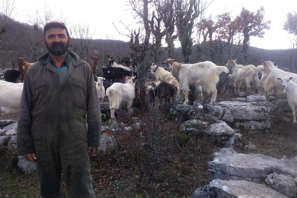 Boban Svorcan, Foto: Svetlana Mandić