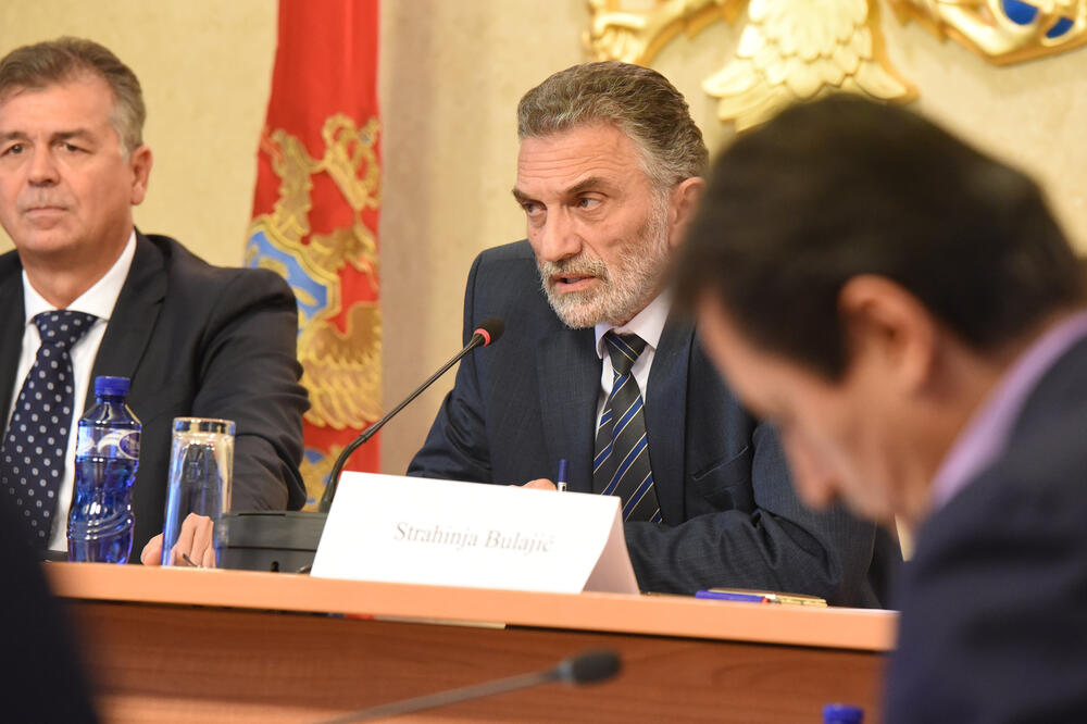 Odbor za reformu izbornog i drugog zakonodavstva, Branimir Gvozdenović, Strahinja Bulajić, Foto: Savo Prelević