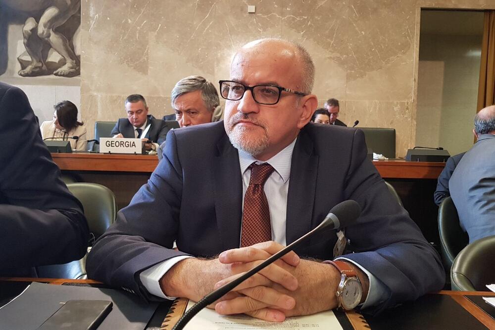 Srđan Darmanović, Ženeva, Foto: Ministarstvo vanjskih poslova