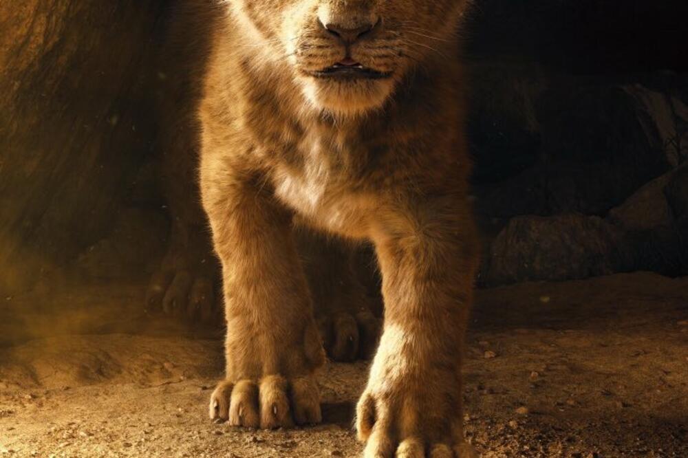 Kralj lavova, Foto: Twitter