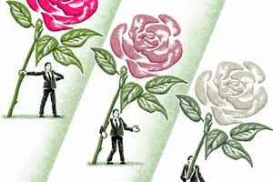 Jaka ljevica - stabilna država