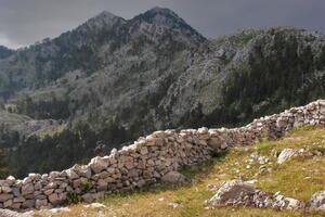 Identitet/integritet