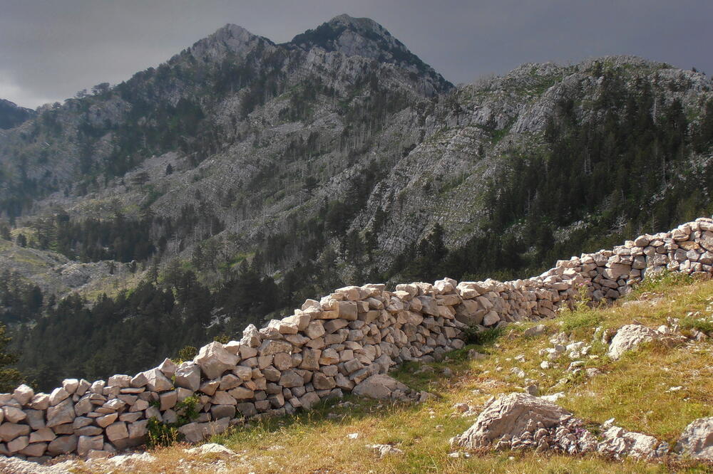 Mirjana Marković kolumna (novina)