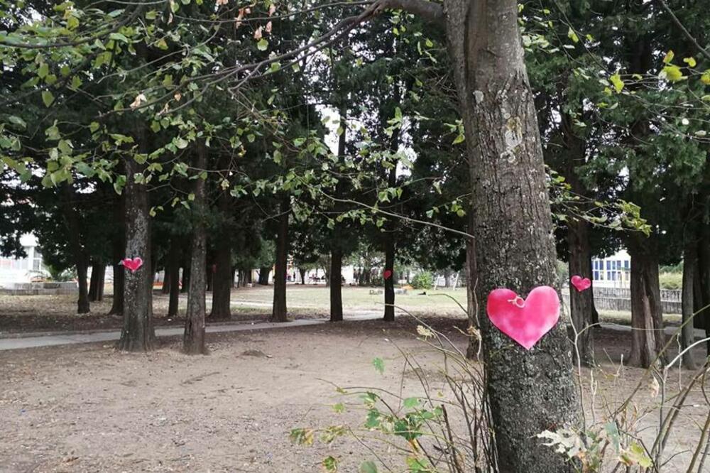 protest Bar, Foto: Facebook/Tamara Čurović