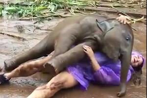 Ovo je nešto najslađe što ćete vidjeti danas