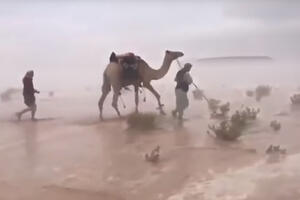 Pogledajte: Saudijske pustinje na udaru poplava