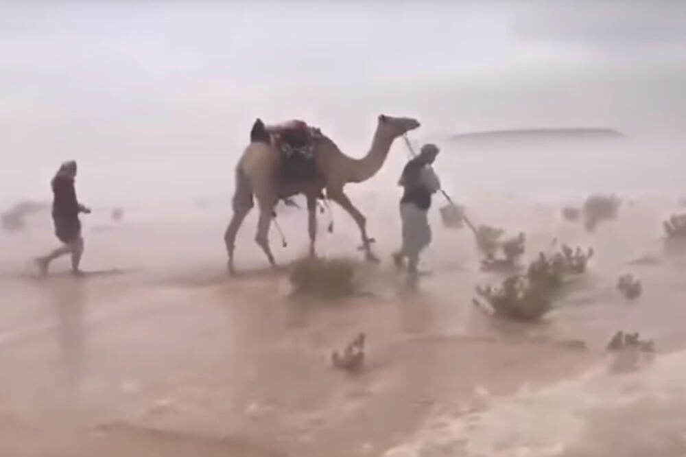 Pustinja, poplava, Saudijska Arabija, Foto: Printscreen (YouTube)
