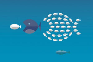 Kako da postanete ključni čovjek u firmi?