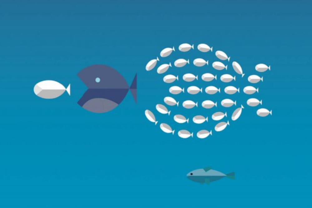 Kako uspeti u korporaciji i ostati normalan, cover