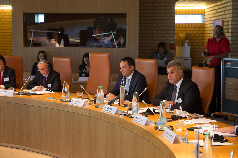 Ivan Brajović Lihtenštajn, Foto: Skupština Crne Gore