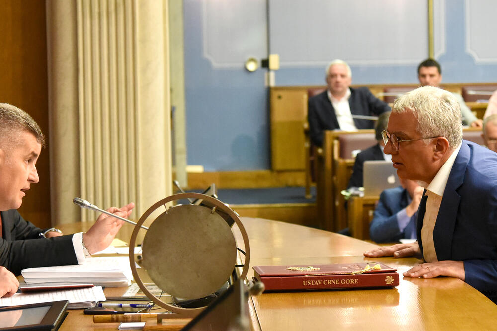 Ivan Brajović, Andrija Mandić, Foto: Boris Pejović