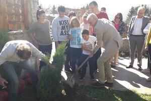 Mojkovac: Članovi lokalnog Dječijeg parlamenta zasadili 21 stablo...