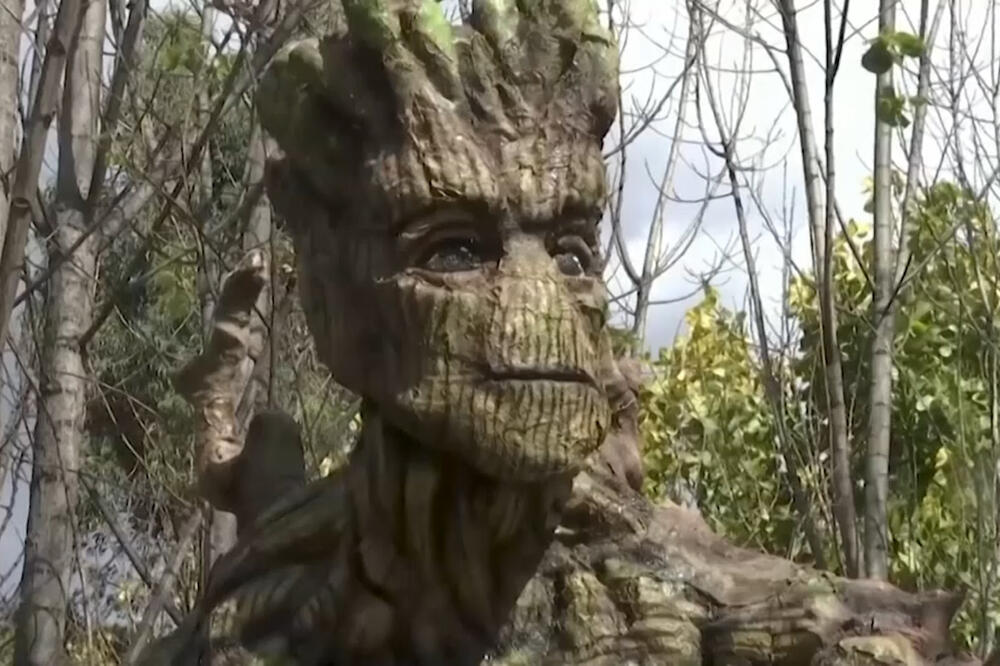 Filmski junaci sume, Foto: Vijesti video