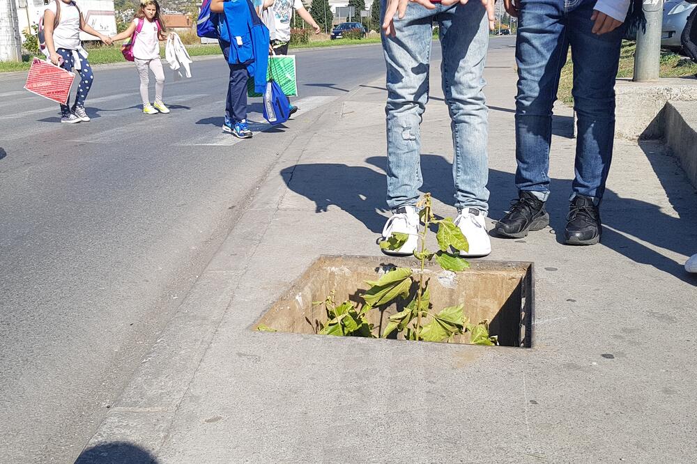 otvoreni šaht Stari aerodrom, Foto: Miloš Radulović