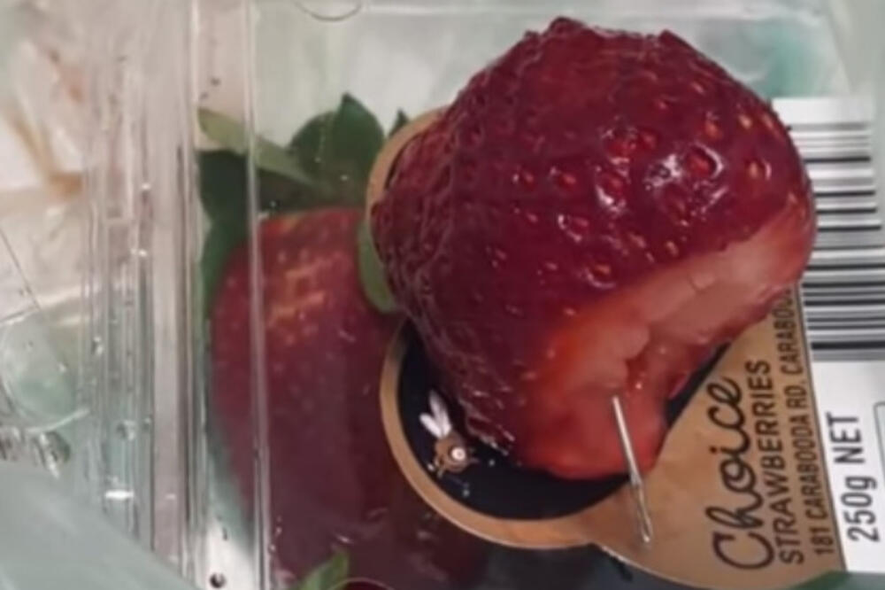 jagode igle, Foto: Screenshot (Youtube)