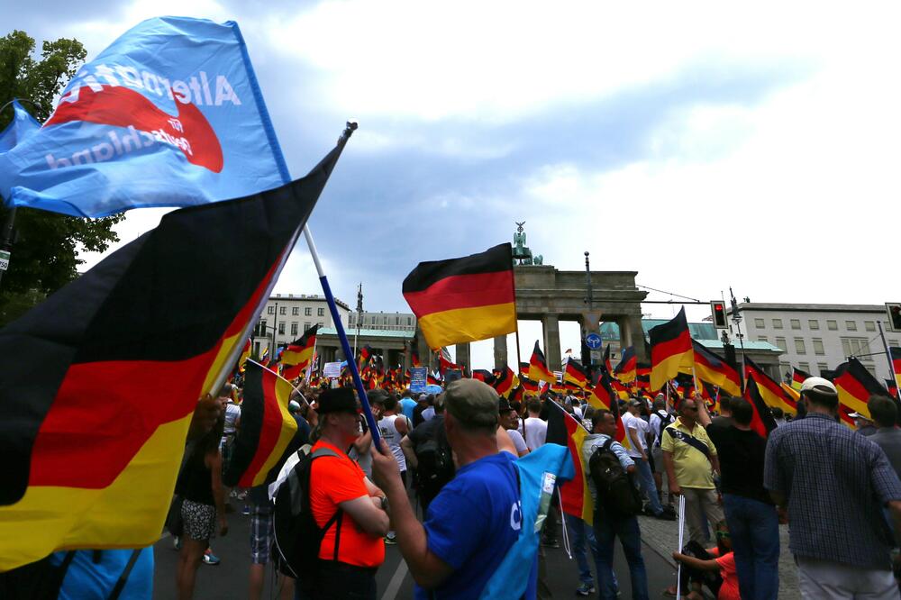 Afd Berlin protest, Foto: Reuters