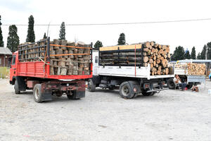 Kubik drva u Podgorici trgovci cijene i pedeset eura