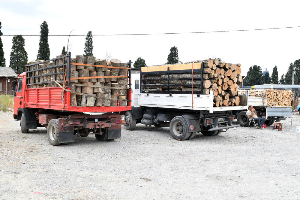 drva za ogrev, Foto: Zoran Đurić