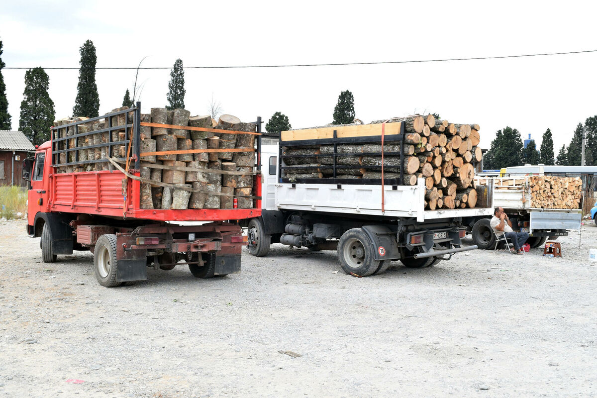 Kubik drva u Podgorici trgovci cijene i pedeset eura