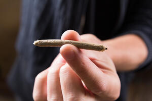 Prekršajne prijave za četiri osobe: Kontrolom pronađena marihuana...