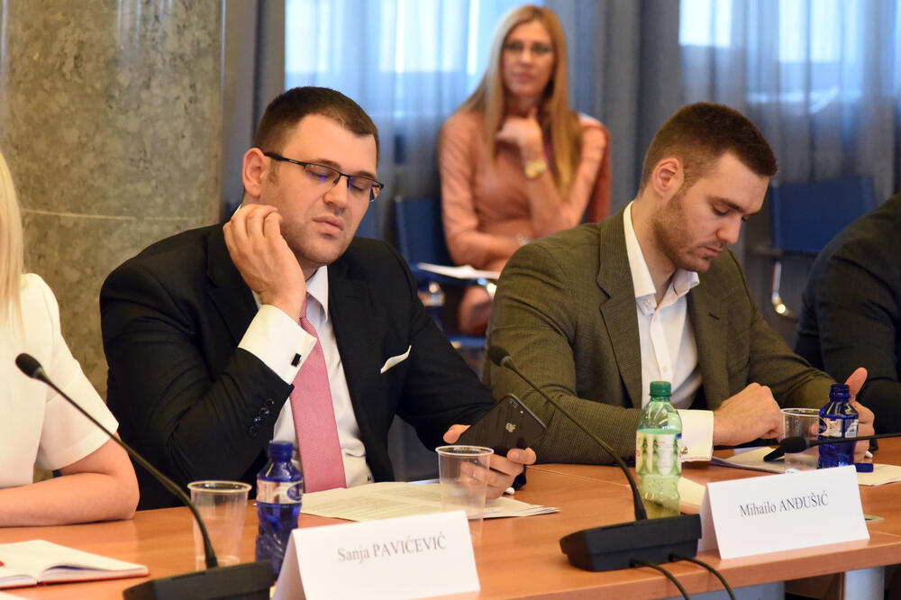 Sanja Pavićević, Mihailo Anđušić, Odbor za evropske integracije, Foto: Boris Pejović