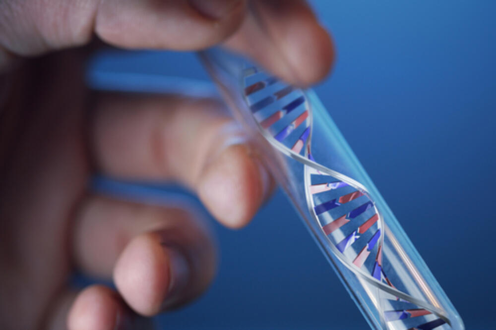 genetika, genetski kod, geni, Foto: Shutterstock.com