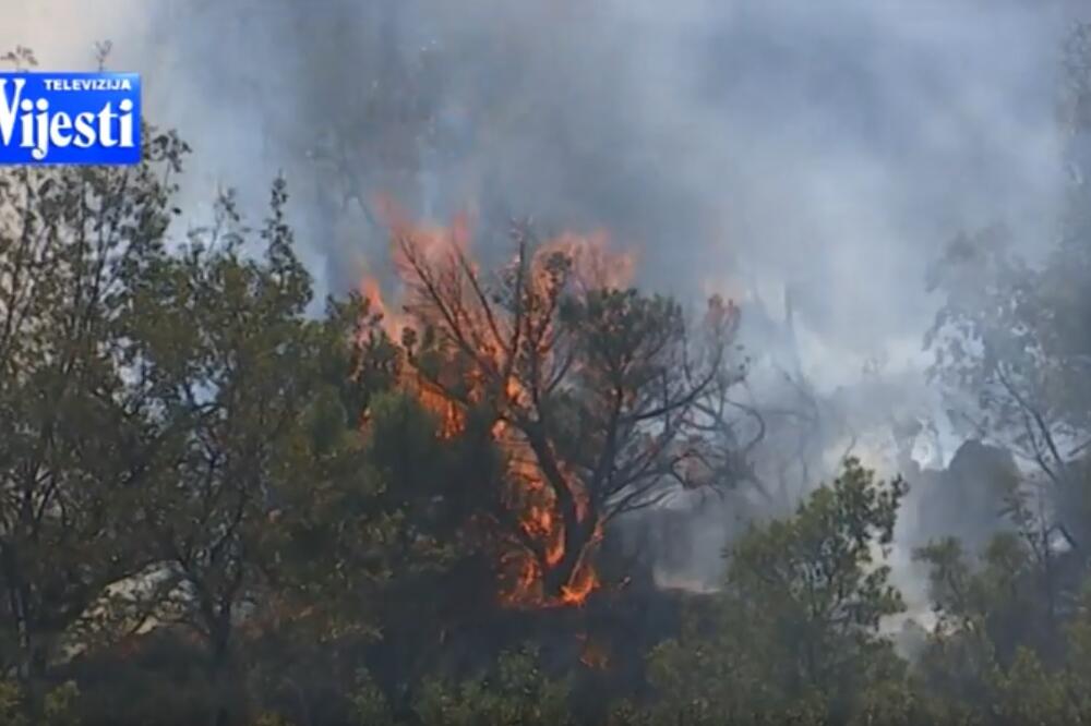 Rogami, požar, Foto: Screenshot(TvVijesti)