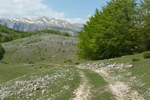 Oblačno, temperatura do 25 stepeni