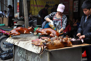 Vlasti u prijestonici Vijetnama apeluju da se ne jede pseće meso