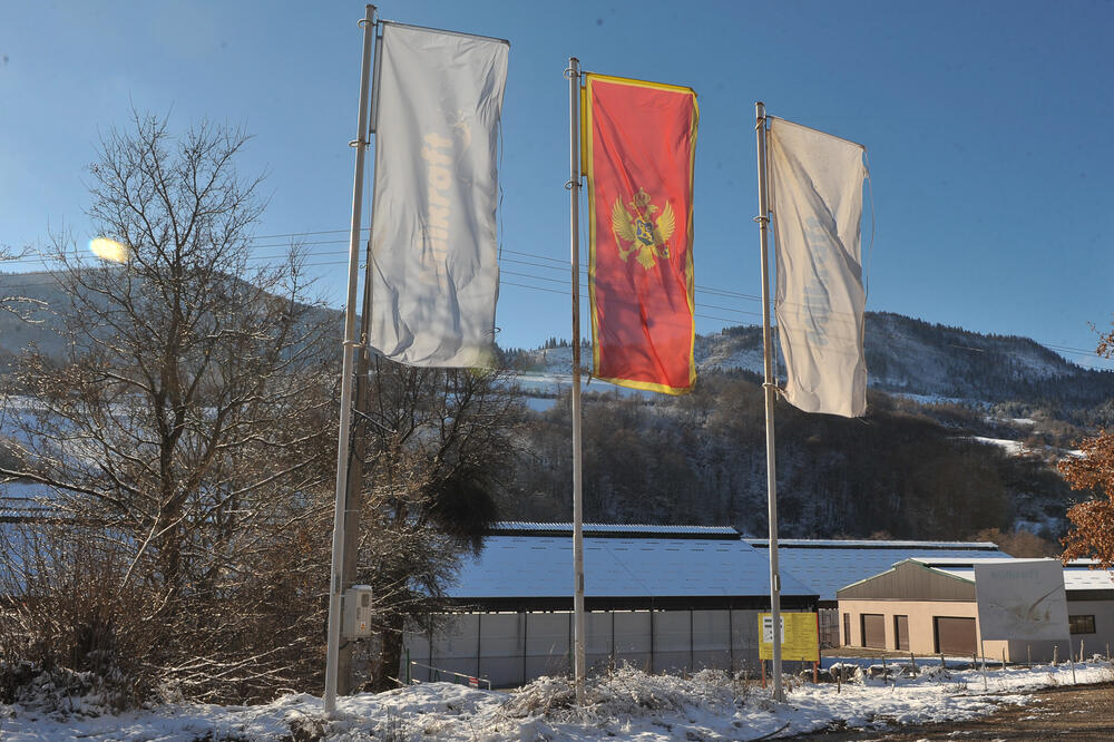 Milkraft, Foto: Savo Prelević