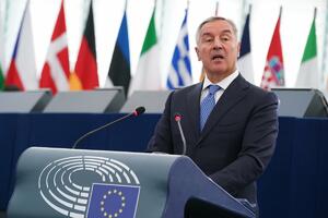 Đukanović u EP: Nijesam euroskeptik, ideju ujedinjene Evrope...
