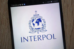 Akcija Interpola u 116 zemalja: Zaplijenjeno 500 tona...