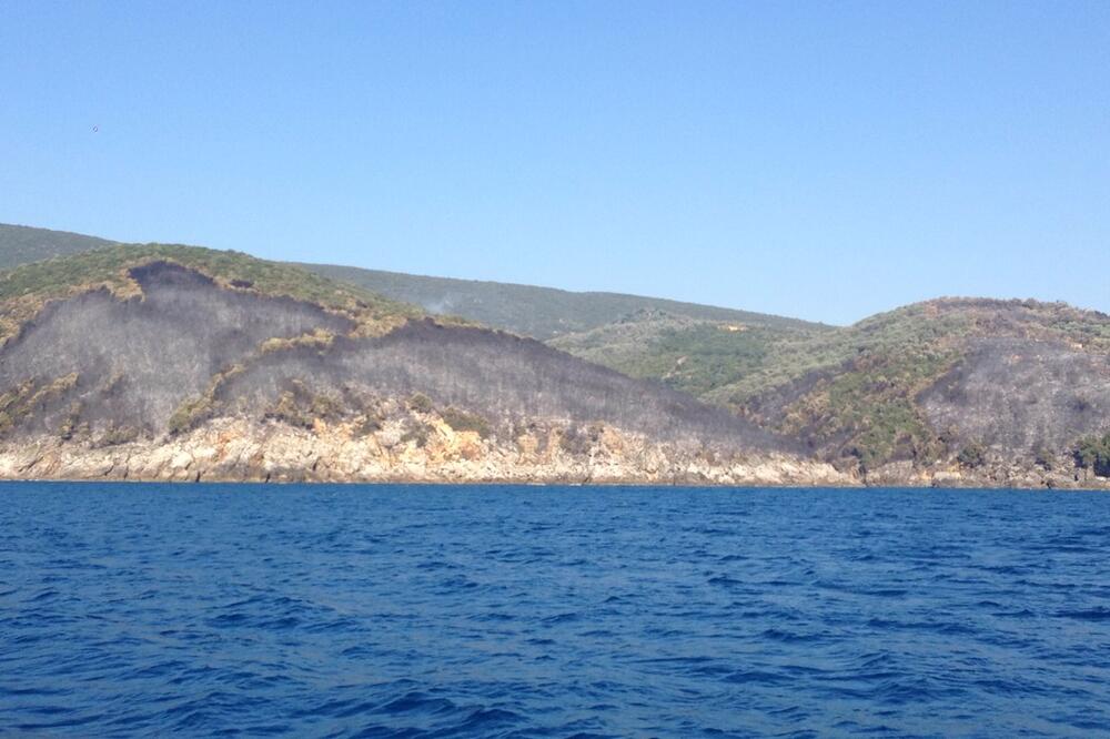 požar Ulcinj, Foto: UPS CG