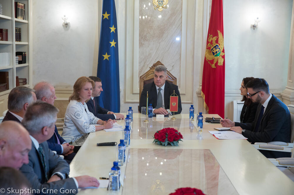 Ivan Brajović, grupa prijateljstva Ukrajine, Foto: Skupština Crne Gore