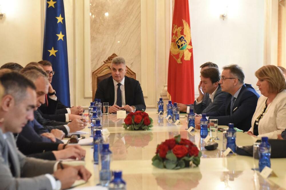 Kolegijum, reforma izbornog zakonodavstva, Foto: Savo Prelević