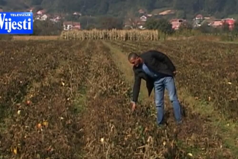 poljoprivrednici, šteta, Foto: Screenshot (YouTube)