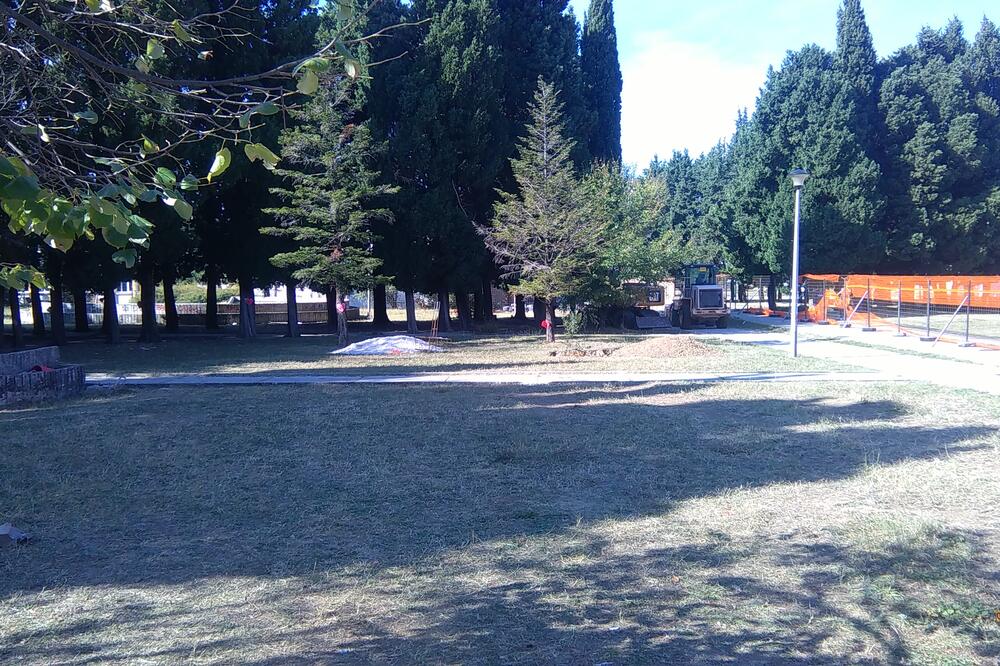 gimnazija "Niko Rolović", Foto: Radomir Petrić